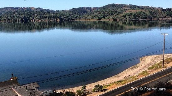 Wallpaper Chicken ranch beach inverness For Android