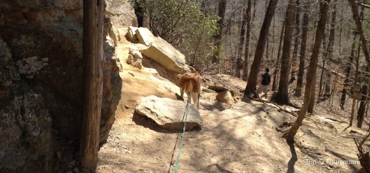 Tishomingo State Park Travel Guidebook Must Visit Attractions In