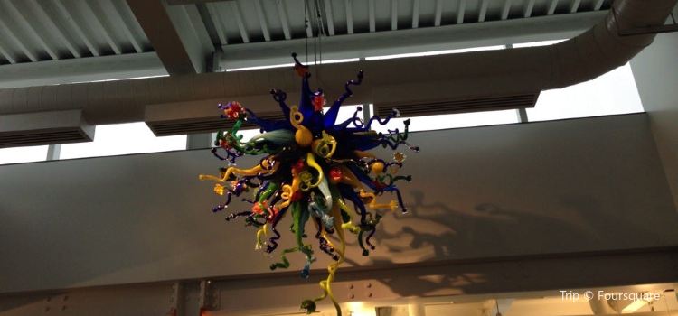 Saginaw Art Museum Tickets Deals Reviews Family - 