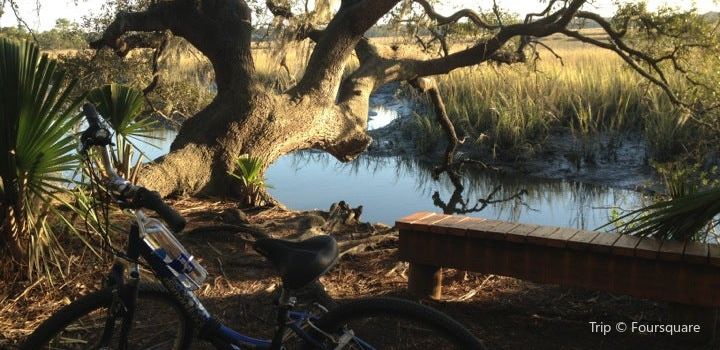 Mount Pleasant Palmetto Islands County Park Travel Guidebook Must