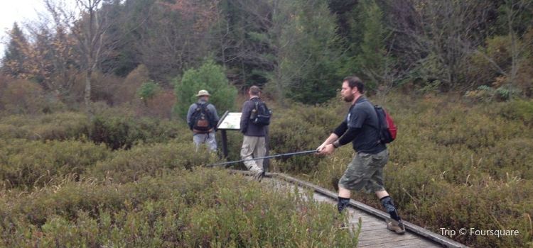 Black Moshannon State Park Travel Guidebook Must Visit