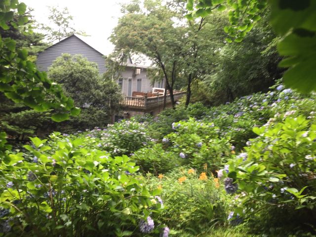 芦花荡公园-园门旅行图片 2
