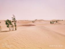 塔里木沙漠公路-且末-YoYo_6F7N4B9E