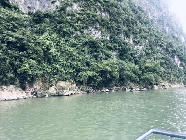 漓江景区旅行图片 9