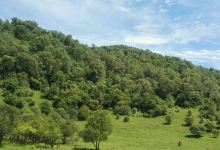 关山森林公园景点图片