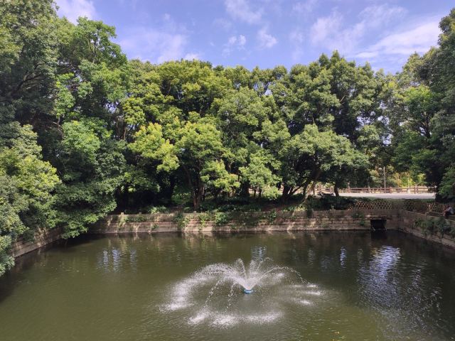法雨寺