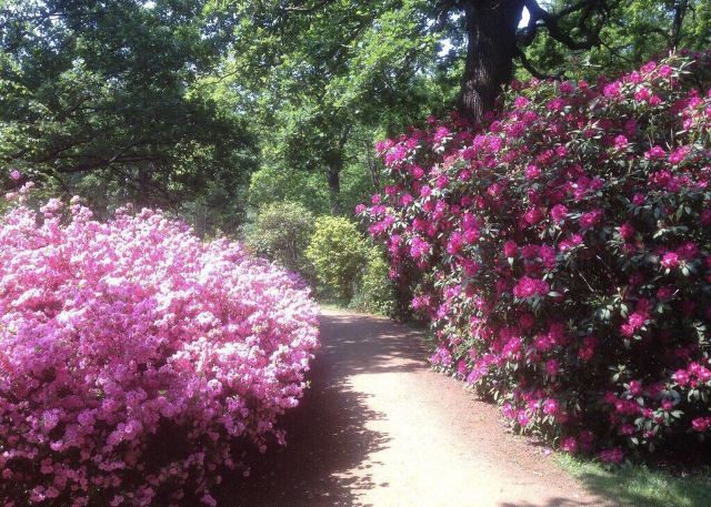 Botanischer Garten Attractions M32 5623 Marburg Biedenkopf