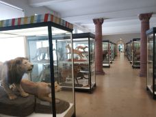 森肯贝格自然博物馆-法兰克福-我程咬金和白起贼6