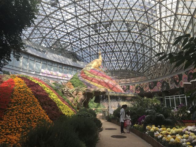 花之城