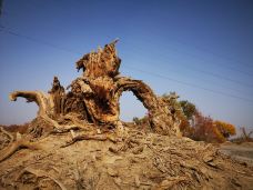 塔里木沙漠公路-且末-梦想成真了啊