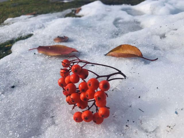 洞爺湖