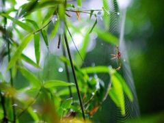 2日溧阳 · 泛舟天目湖山水园+打卡御水温泉