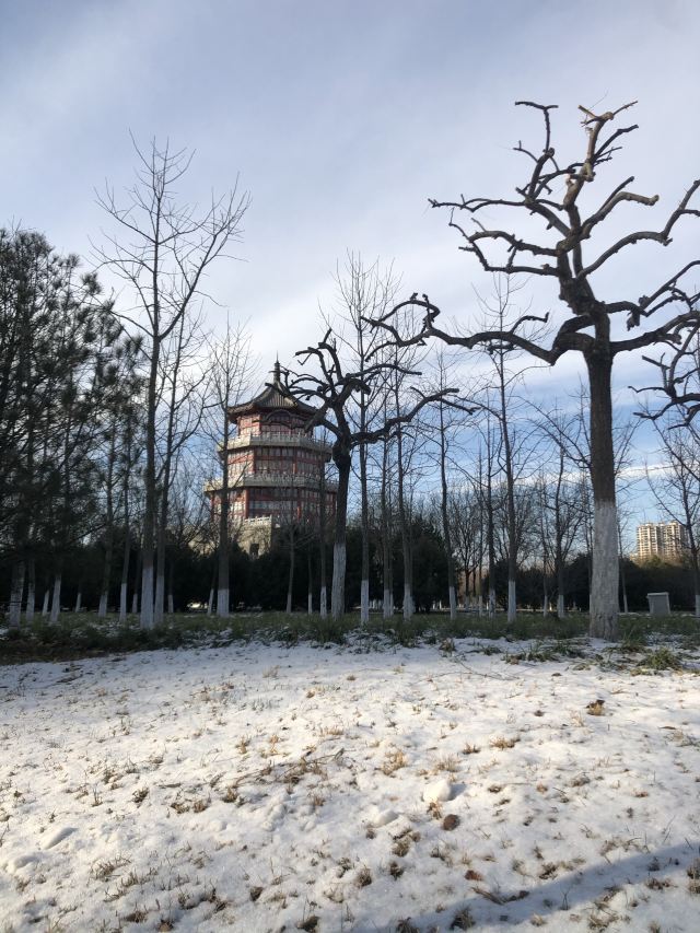 西局玉璞园旅行图片 3