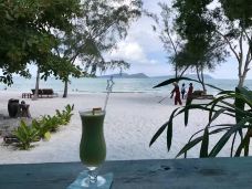 科尼艾兰-纽约-东张西望望东西