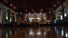 老挝万象神木博物馆-万象-YoYo_3D4Q2X5W