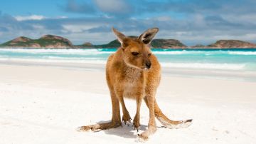 Cape Le Grand National Park