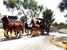 疏芬山-Golden Point-美景美食玩玩玩