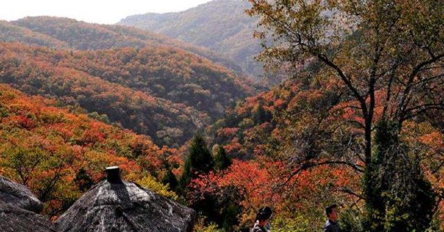 延安劳山国家森林公园旅行图片 3