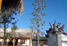 高府林苑酒店餐厅美食图片