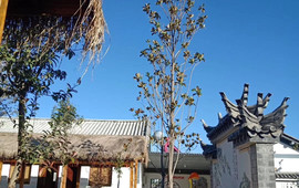 高府林苑酒店餐厅