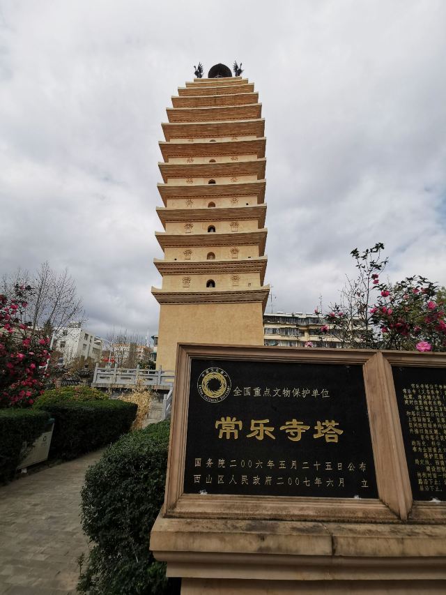 东寺塔茶花园旅行图片 1