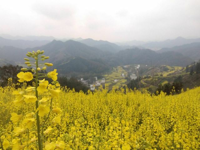石潭村旅行图片 4