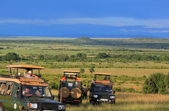 女儿圆梦狮子王，2020寒假肯尼亚非洲大草原掠影