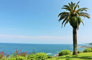 宫崎游记图文-充满南国风情--宫崎