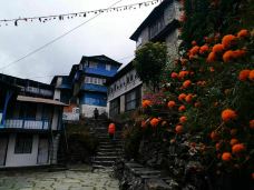 安娜普尔纳大本营线-Ghandruk-蝥箭