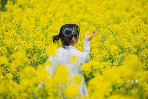 兴化游记图文-兴化“扫黄”行动，美景、美食和人文，一个都不能少！