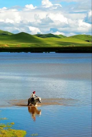 阿坝州,大自然的瑰宝!走一趟“净心”线路,看生灵栖息的天堂!