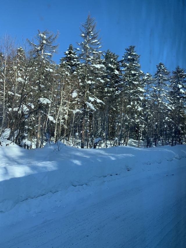 West Slope of Changbai Mountain Scenic Area