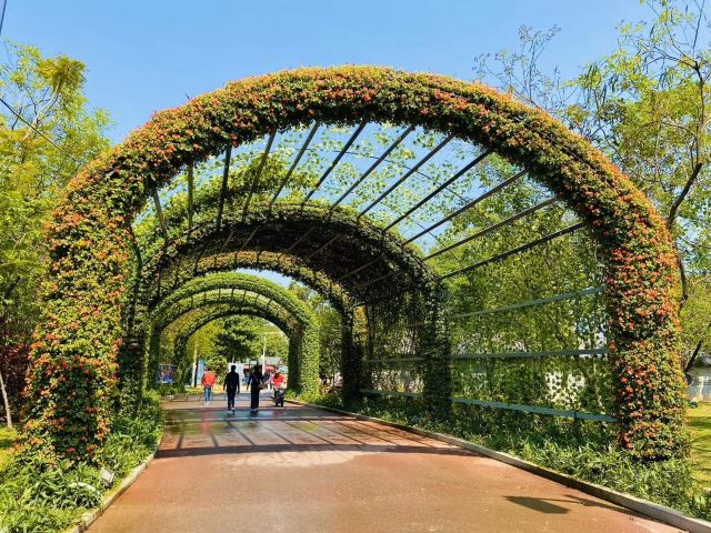 华阳湖国家湿地公园旅行图片 7