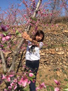 大黄庙公园-界首-滇国剑客