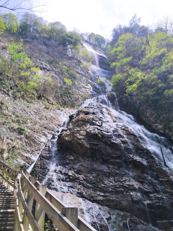 传情土菜馆餐厅图片