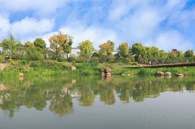 新江湾城公园旅行图片 2