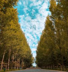 镇北堡西部影城-银川-春暖花开时节