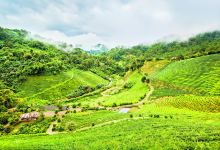 美斯乐村景点图片