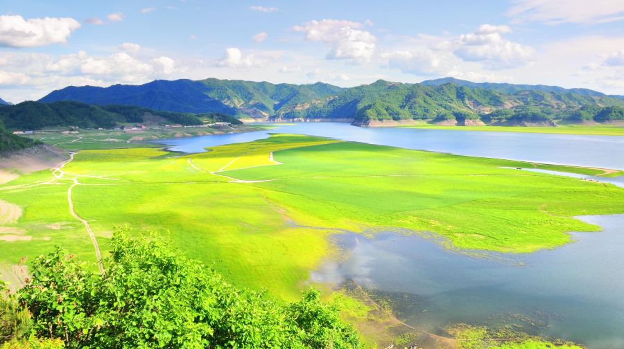 绿江村