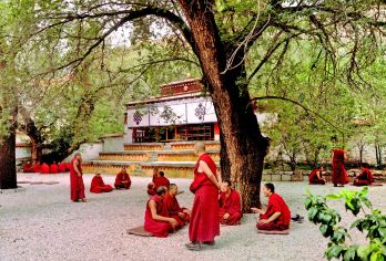 拉萨色拉寺一日游【一单一团包导游服务/金牌导游深度1H讲解】【[导游保障]本社提供专业持证上岗导游，传递藏文化知识！】