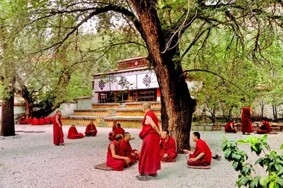 色拉寺辩经场