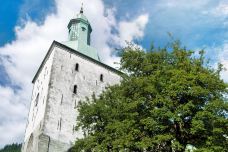 卑尔根大教堂-卑尔根-尊敬的会员