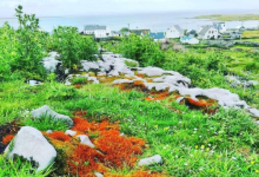 伊尼什莫尔岛景点图片