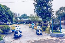 休宁大熊猫生态乐园-休宁-doris圈圈