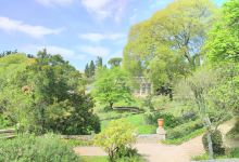 蒙彼利埃植物园景点图片