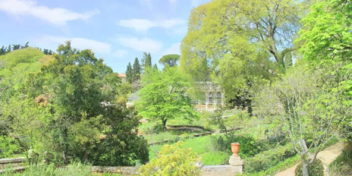 蒙彼利埃植物園