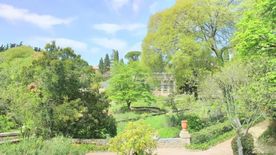 蒙彼利埃植物園