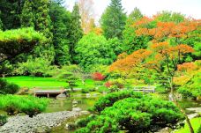 华盛顿公园植物园-西雅图-doris圈圈