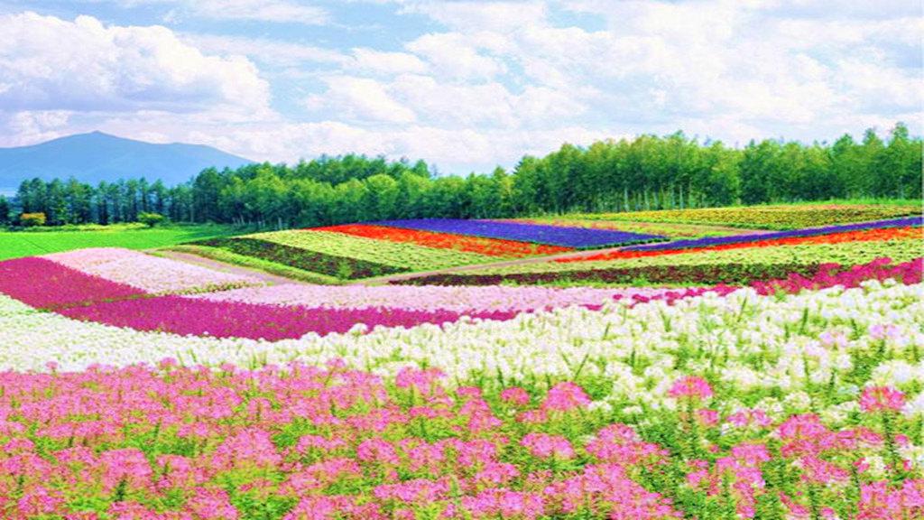 铜梁奇彩梦园