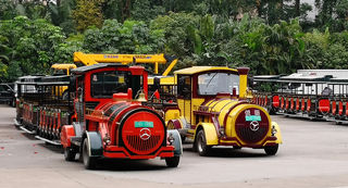 广州看动物,珠海看剧场!疫情后重开的长隆怎么玩,请看这里!